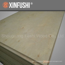birch plywood export to Amercian